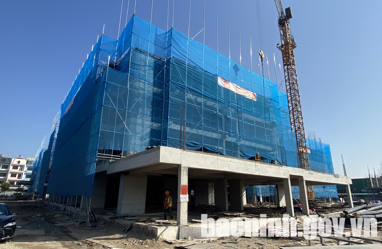 Hồng hạc bắc ninh