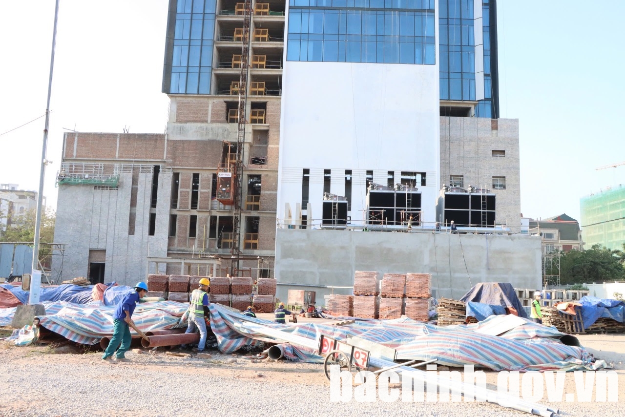 Hồng hạc bắc ninh