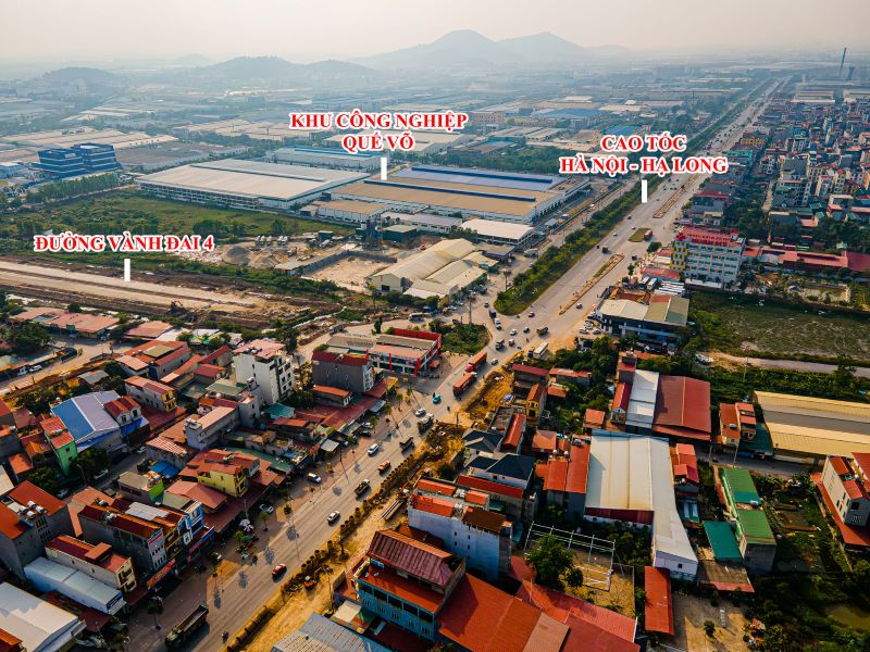 Hồng hạc bắc ninh