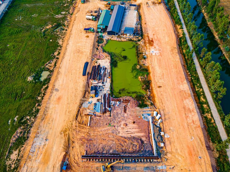 Hồng hạc bắc ninh