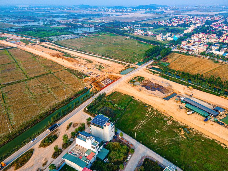 Hồng hạc phú mỹ hưng