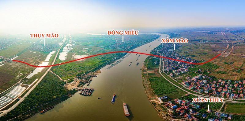 Hồng hạc phú mỹ hưng