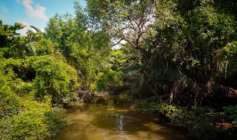 căn hộ phú mỹ hưng