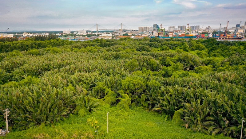 căn hộ phú mỹ hưng